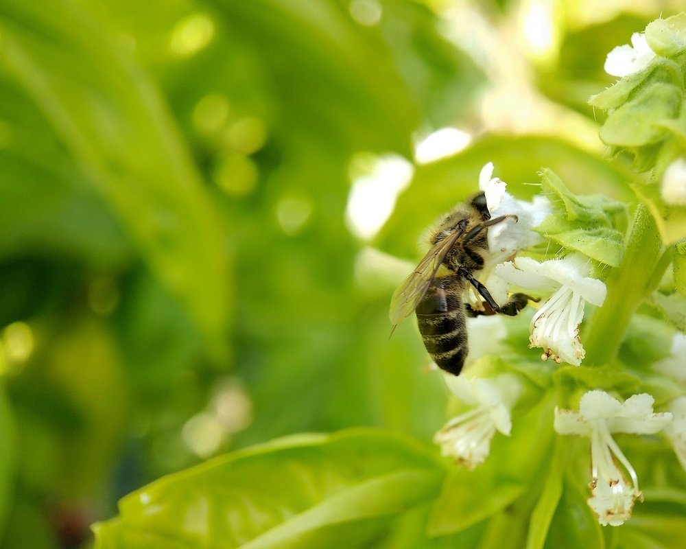 Photograph by Татьяна Чухина
