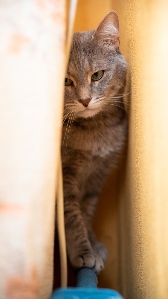 Photograph by Кирилл Сафонов