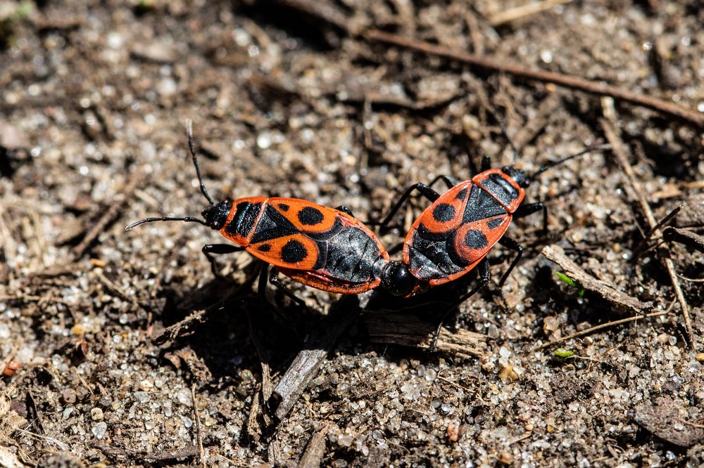 Photograph by Кирилл Сафонов