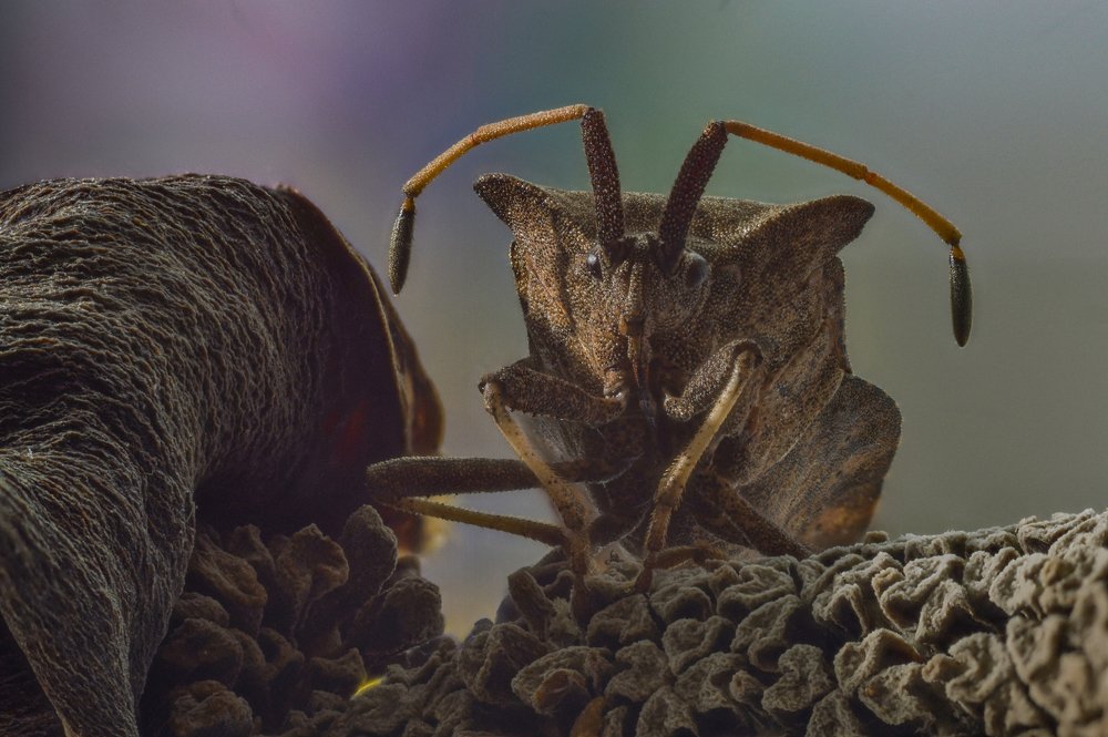 Photograph by Андрей Швед