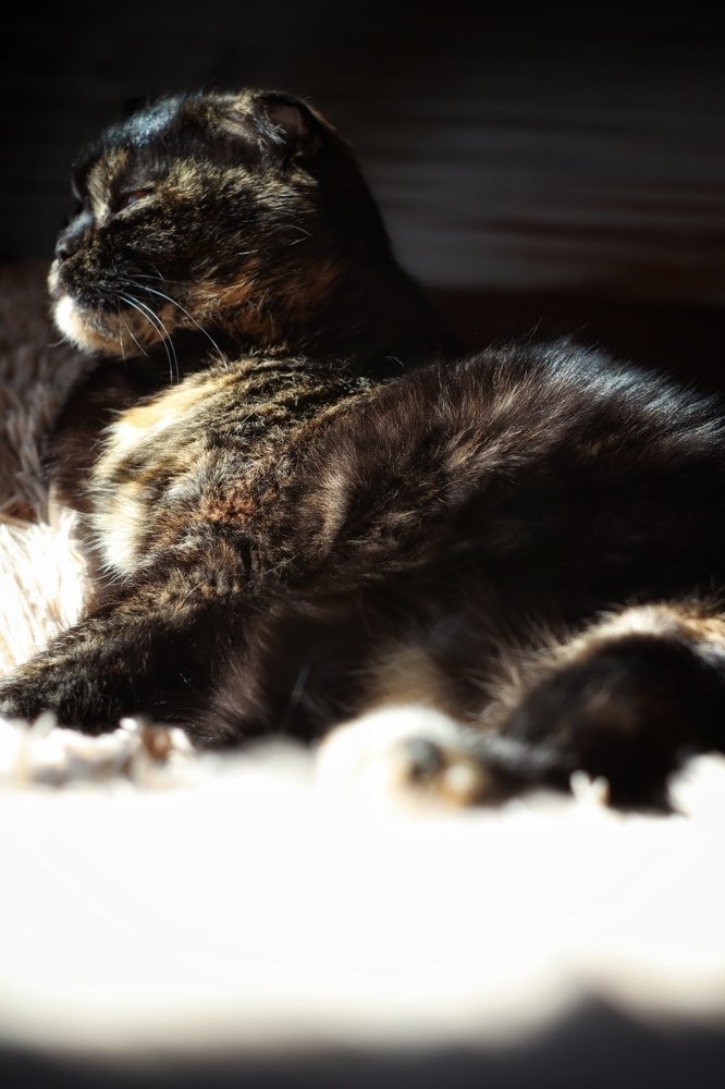 Photograph by Лилия Белякова