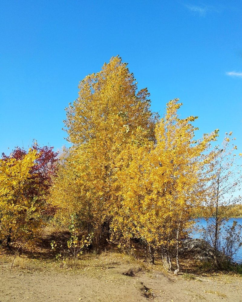 Photograph by Татьяна Чухина