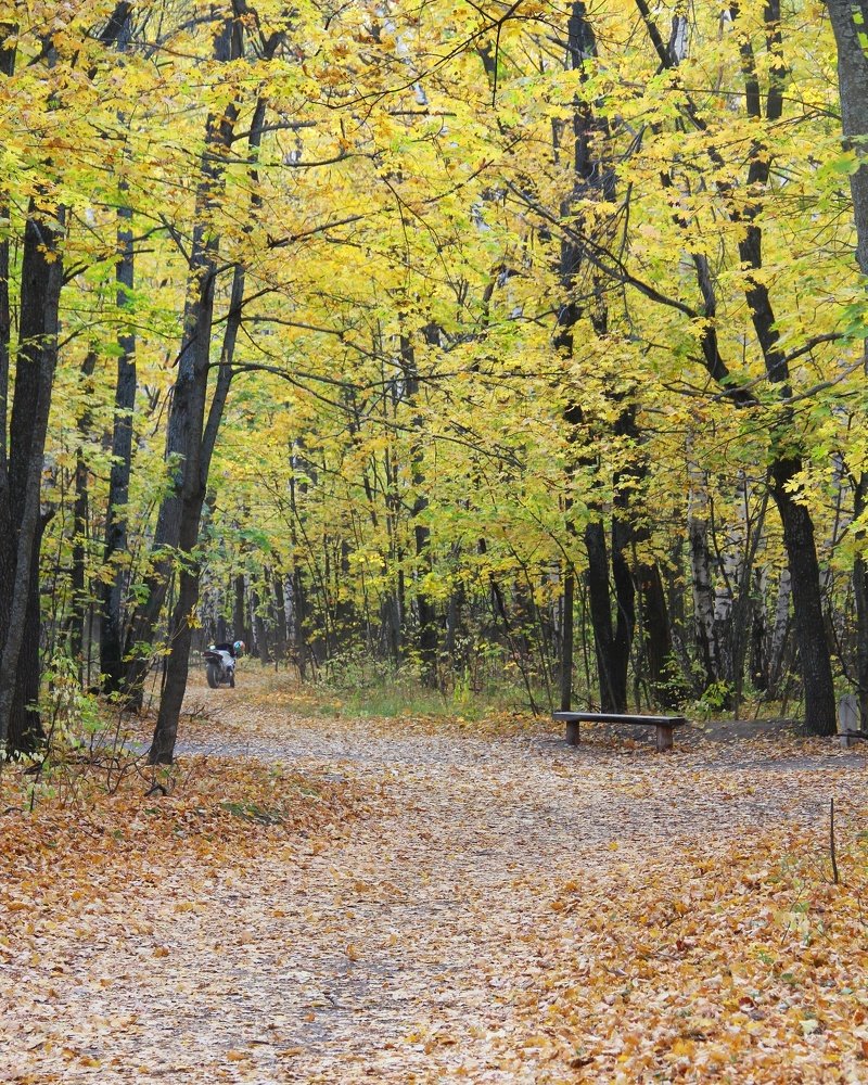 Photograph by Татьяна Чухина