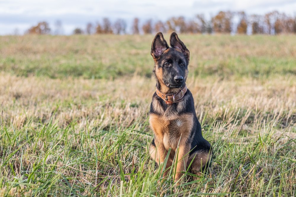 Photograph by Любовь Головина