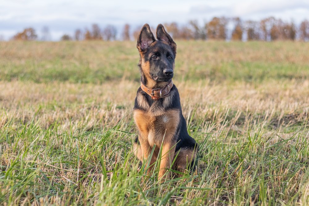 Photograph by Любовь Головина