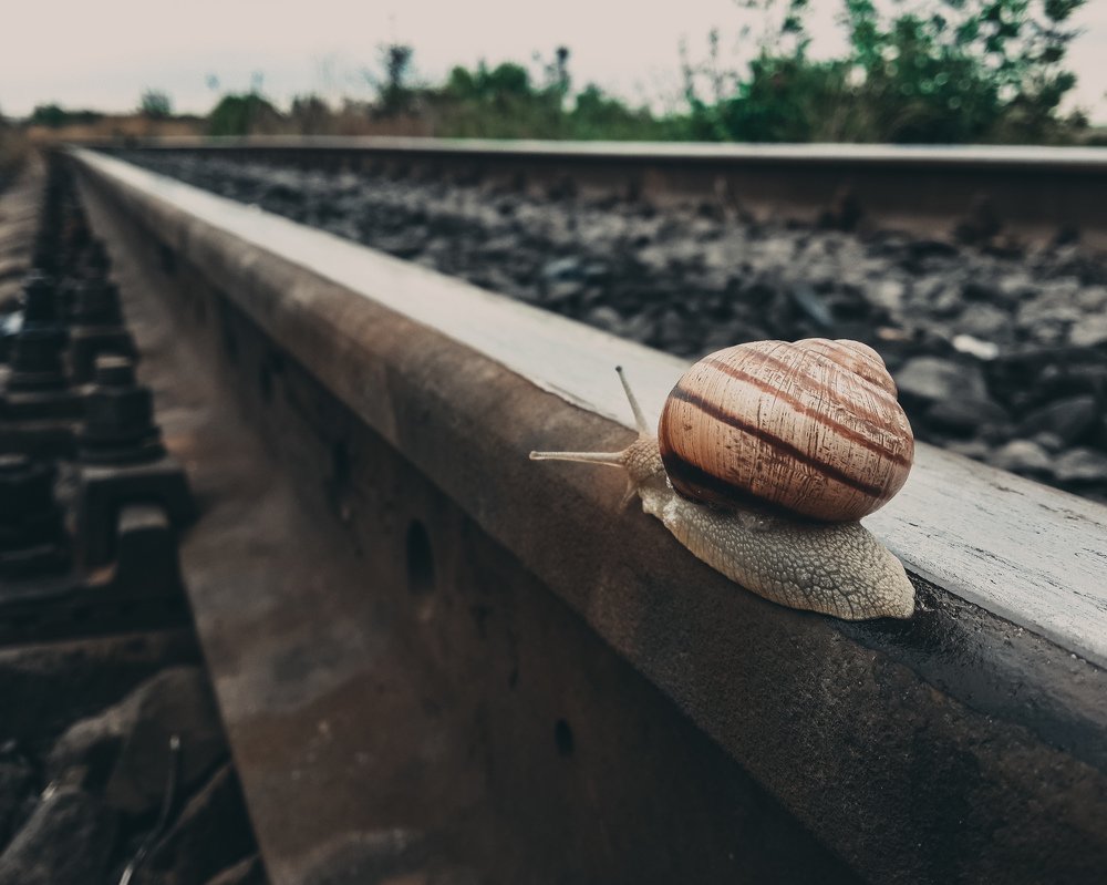 Фотография автора Дмитрий Деревянко