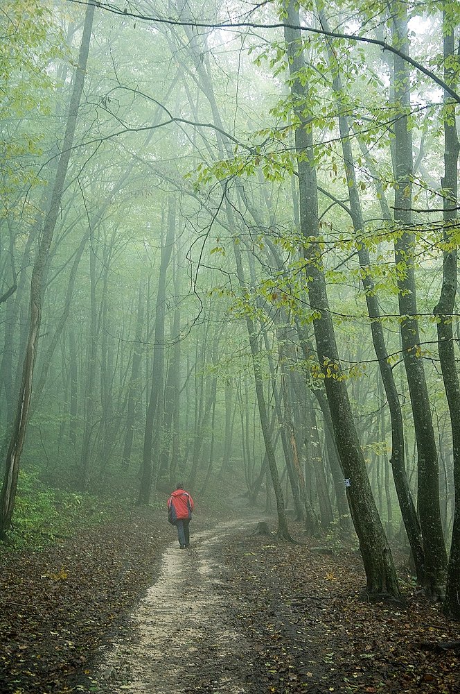 Photograph by Валерий Крачунов