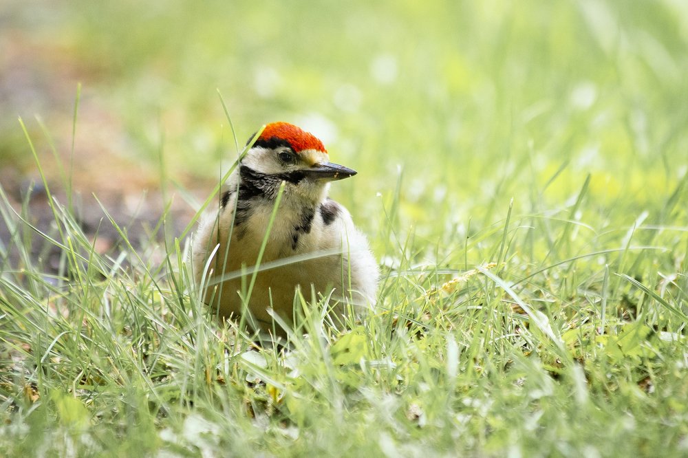 Photograph by Ксения Щербакова
