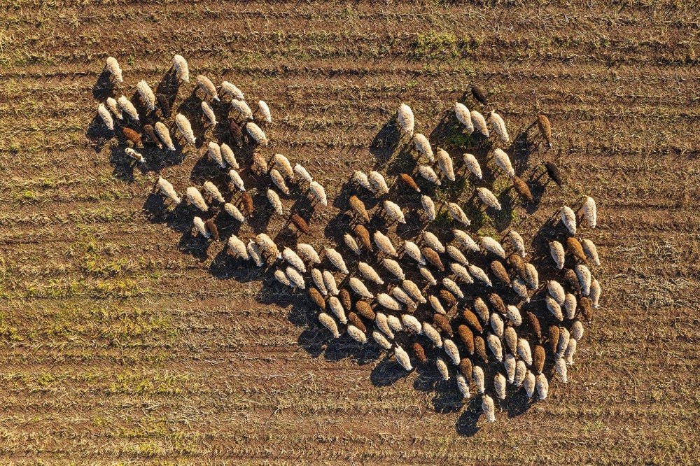 Photograph by Danil Husainov