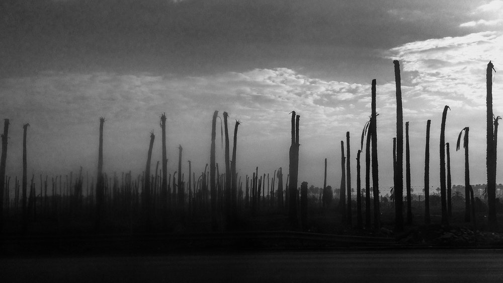 Photograph by Khalid Shuaib