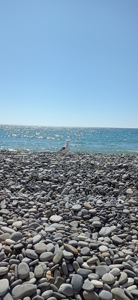 Photograph by Виктория Данилова