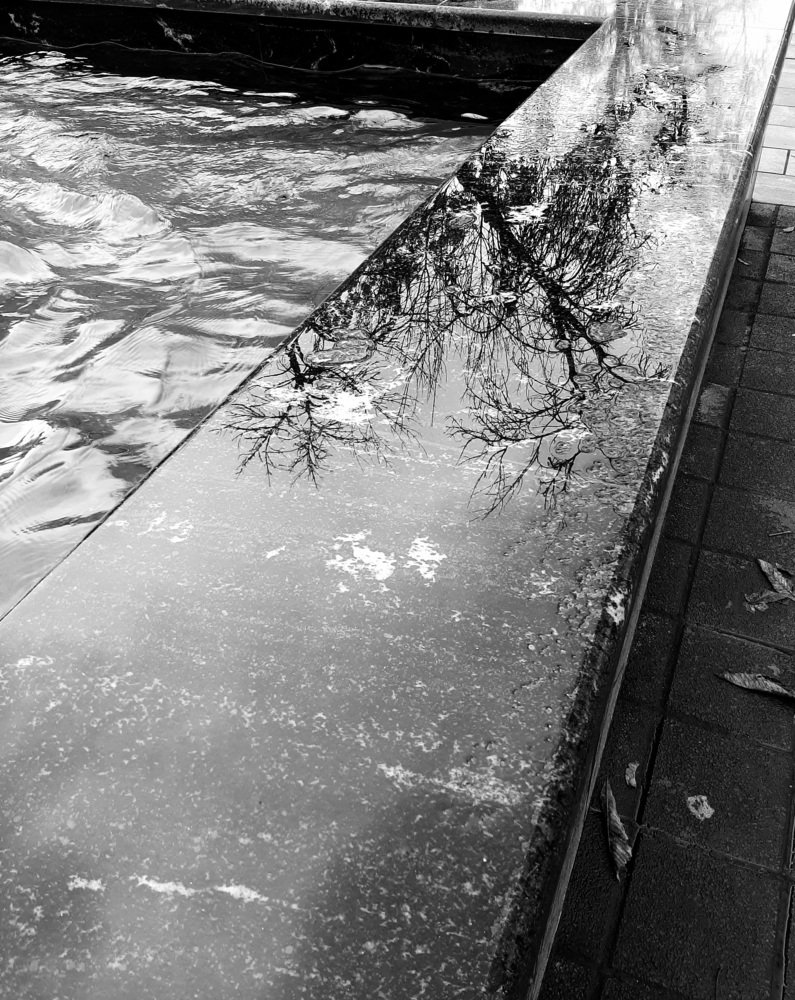 Photograph by Юлия Шестопалова