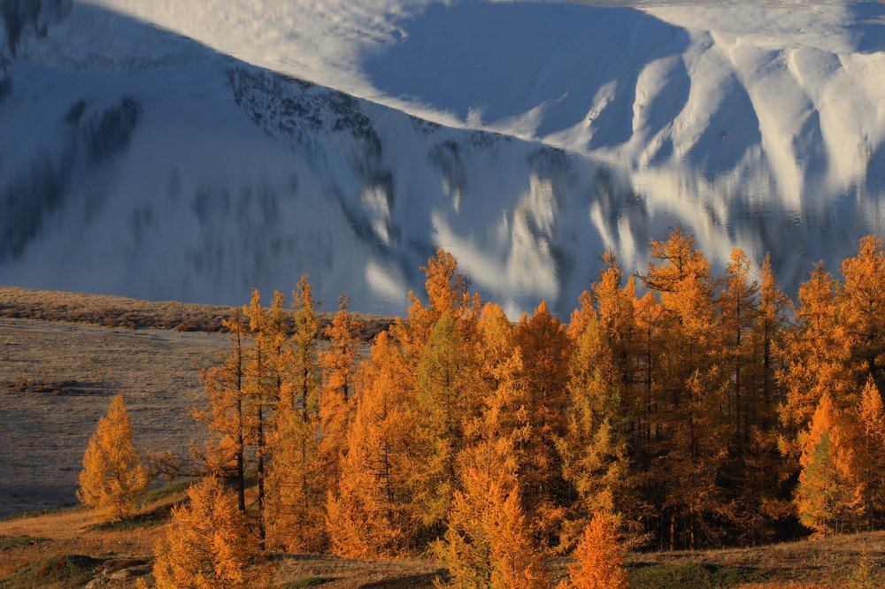 Перевернутое состояние