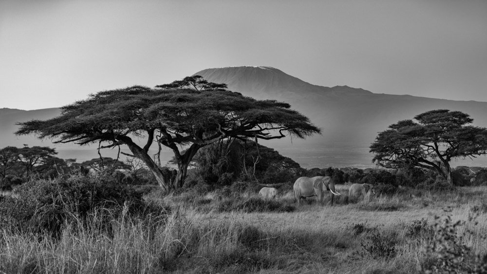 Photograph by Smita Behera