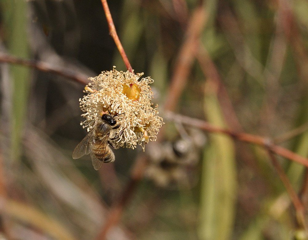 Photograph by Яков