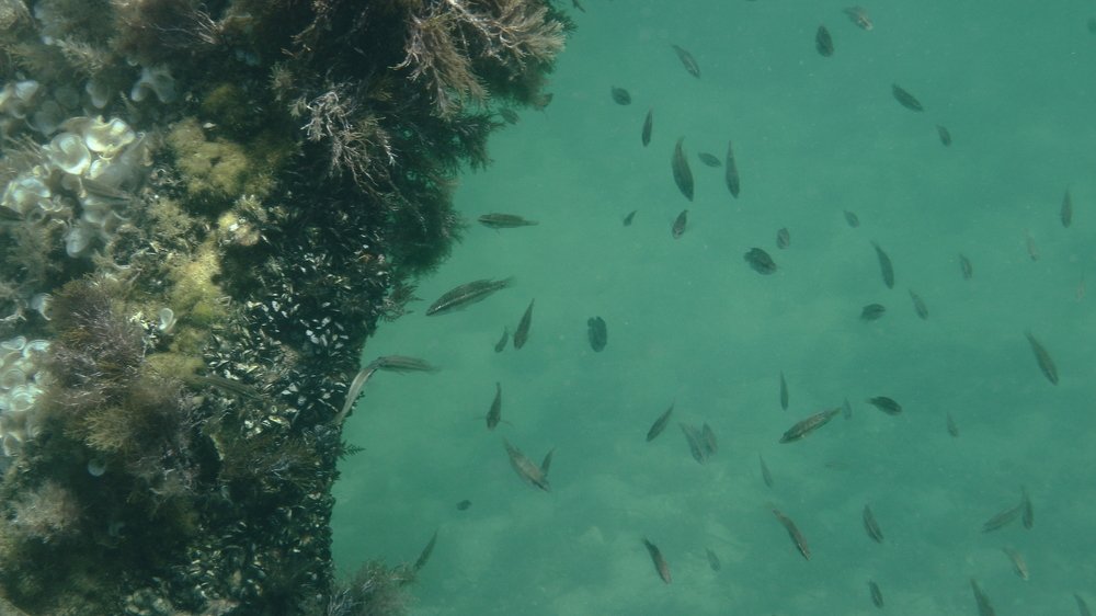 Photograph by Владимир Ясюкевич