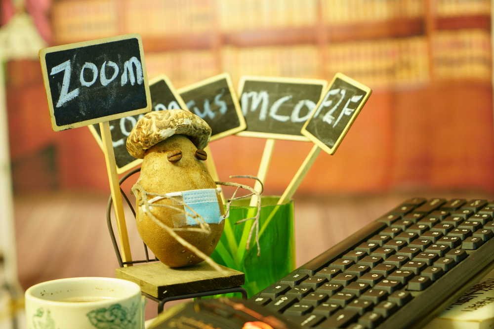 Work from home during 2020 Pandemic