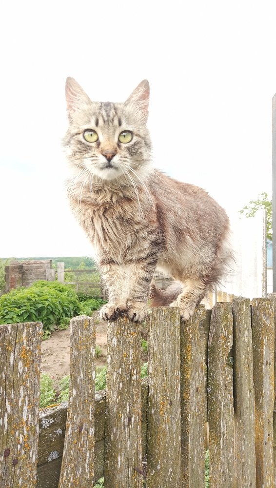 Photograph by Оля Белоусова