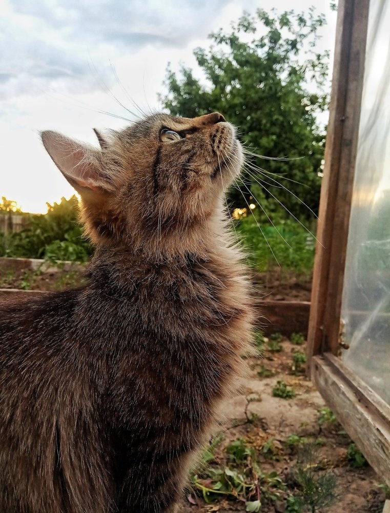 Photograph by Оля Белоусова