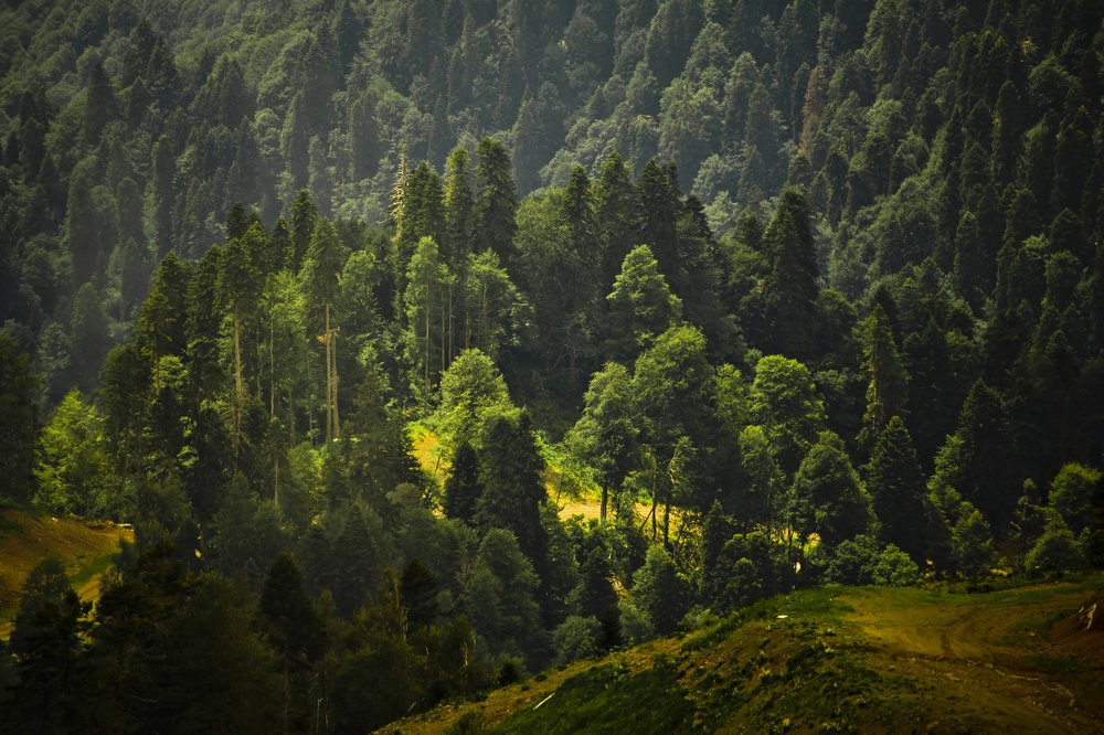 Photograph by Дмитрий Жижин