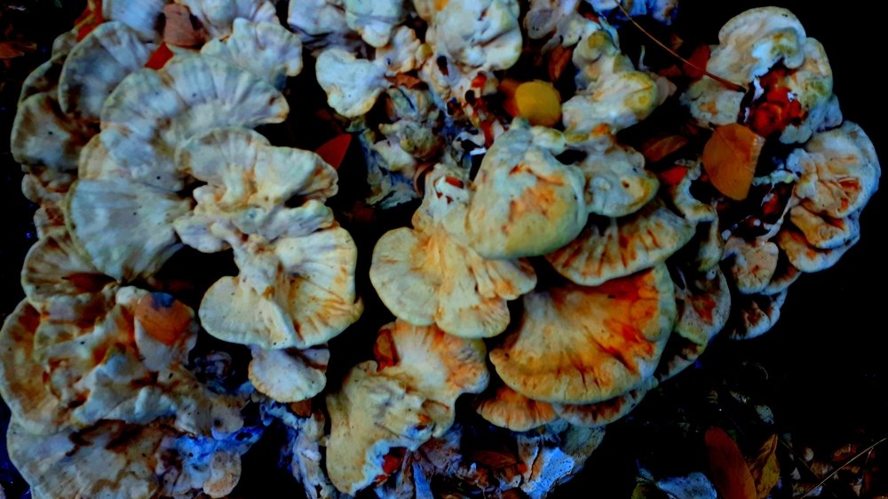 Photograph by Сергей Смирнов