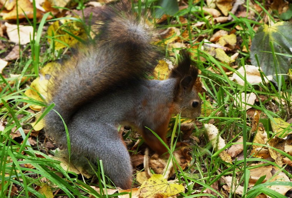 Photograph by Galina Leskova