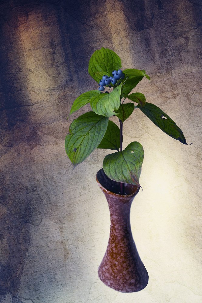 Photograph by Лилия Кондратьева