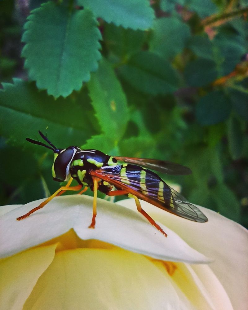 Photograph by Виктория Шереметьева