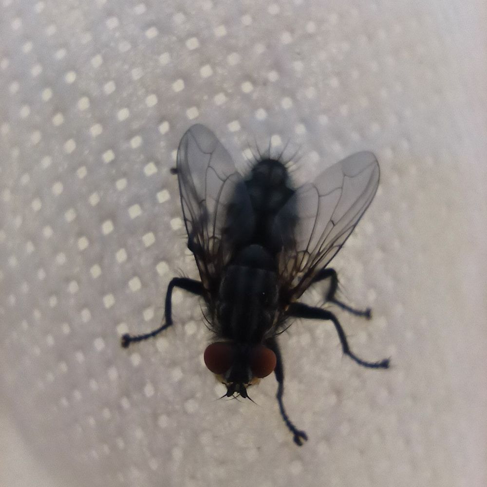 Photograph by Виктория Шереметьева