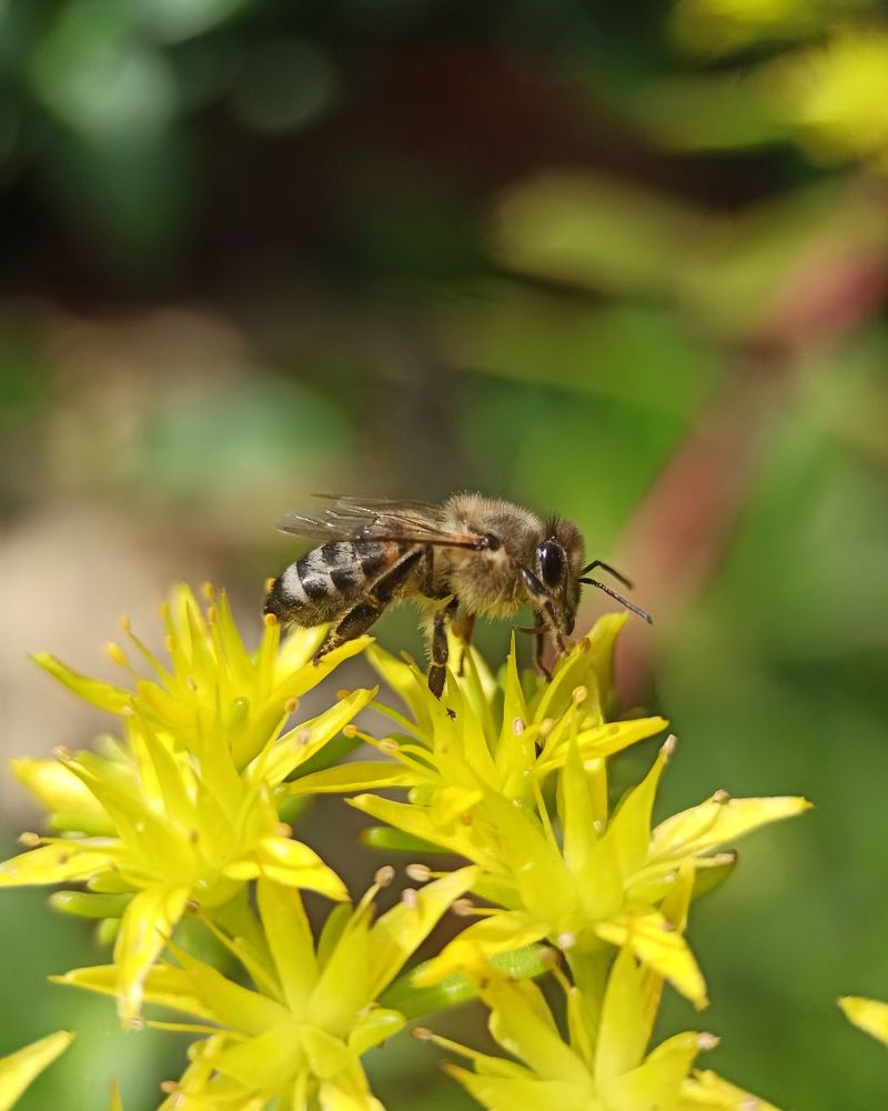 Photograph by Виктория Шереметьева