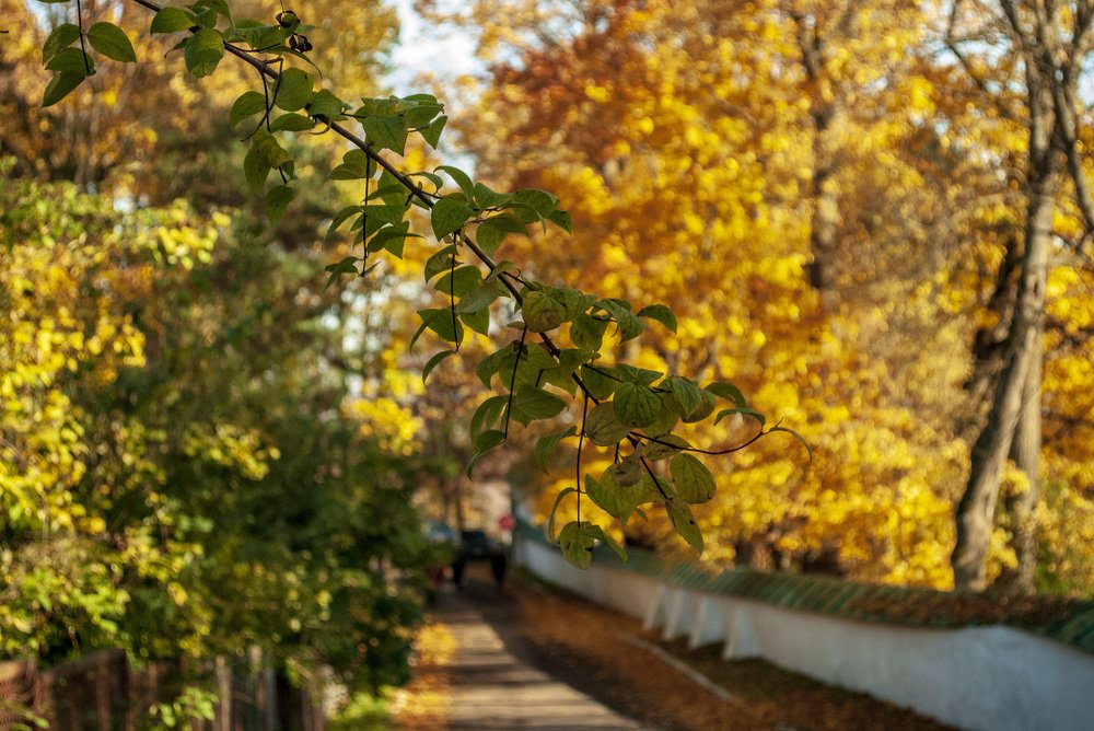 Photograph by Лилия Кондратьева