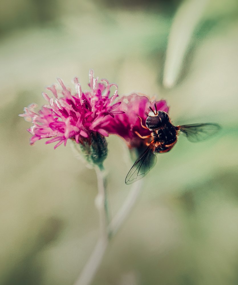 Photograph by Balakrishnan Aswathy