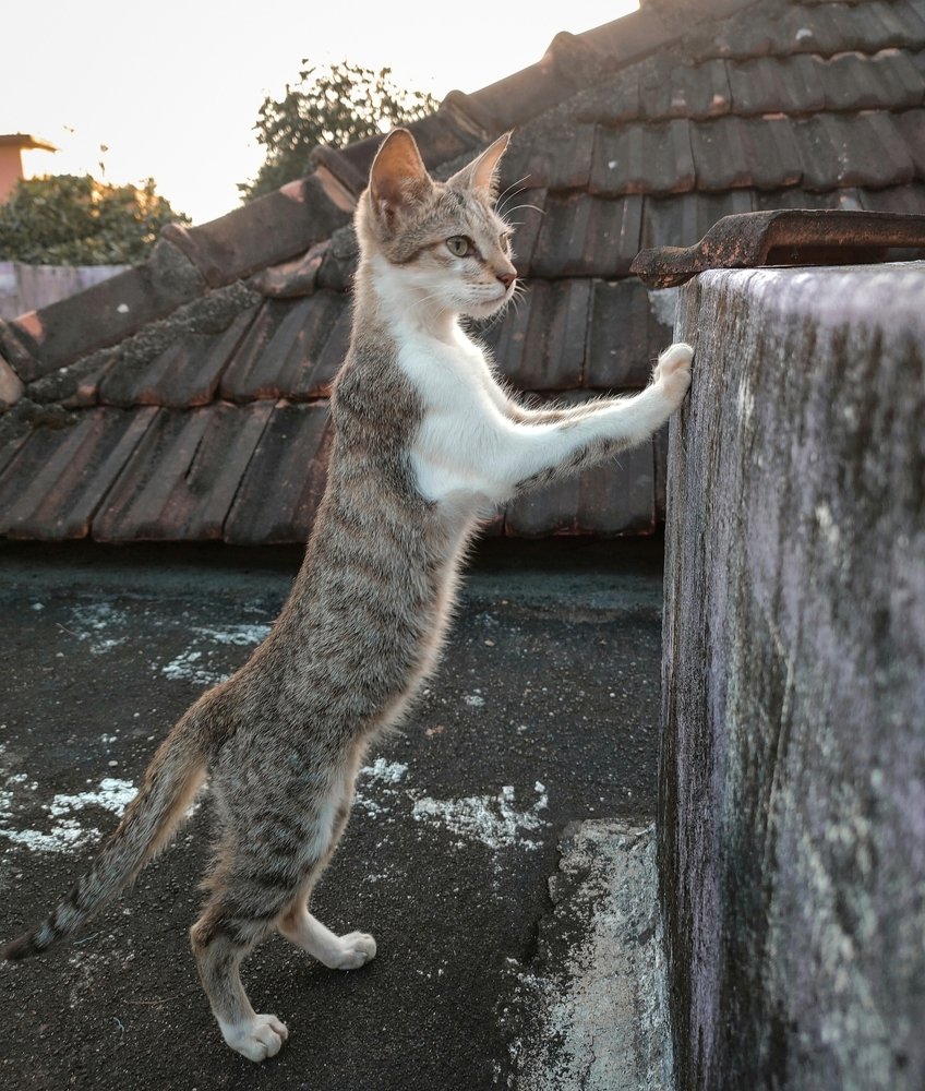 Photograph by Balakrishnan Aswathy