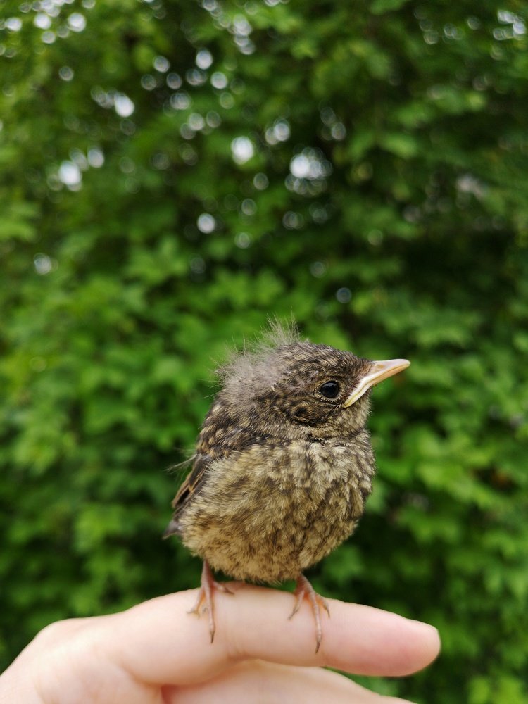 Photograph by Natali