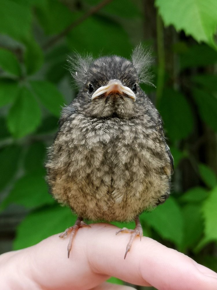 Photograph by Natali