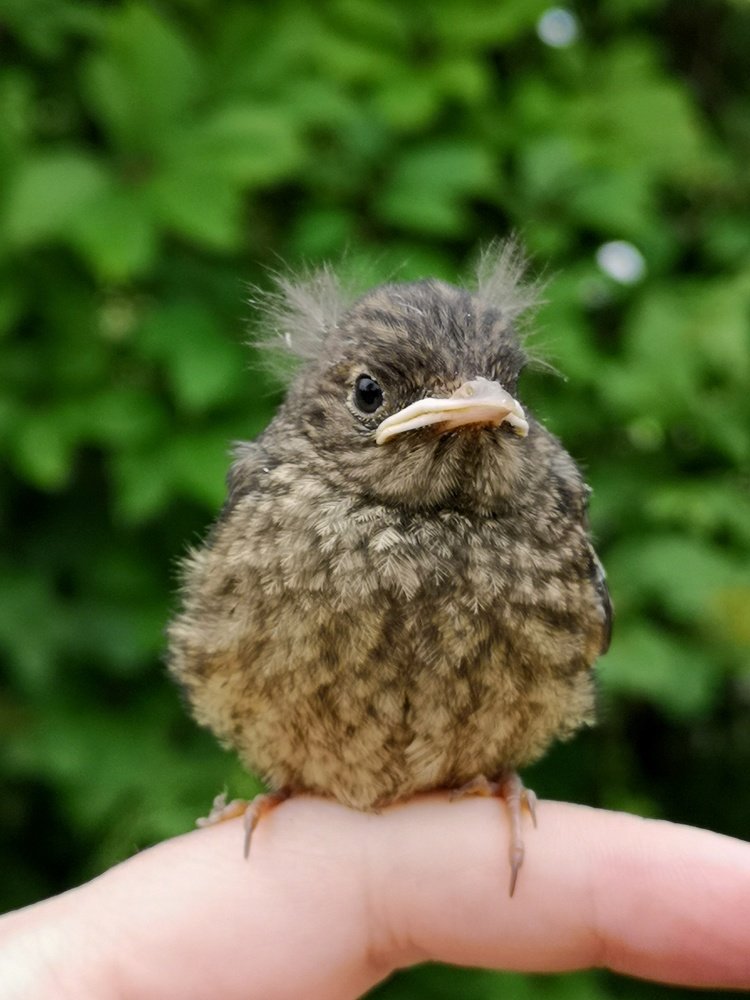 Photograph by Natali