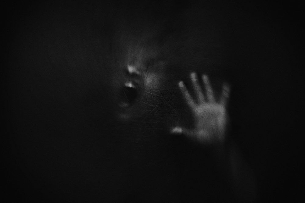 Photograph by  Shady