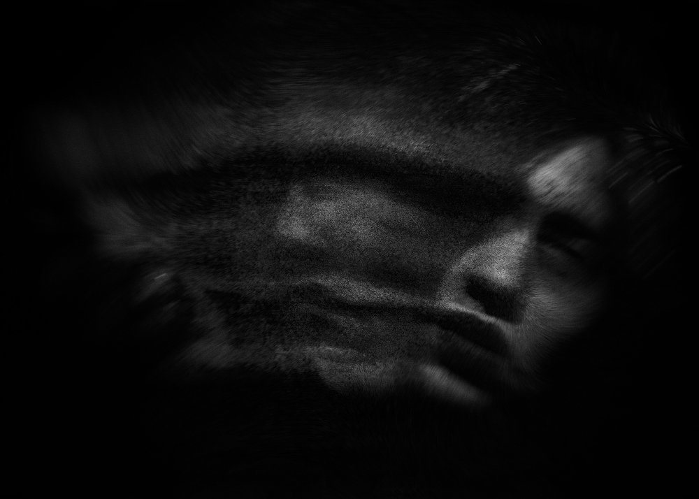 Photograph by  Shady