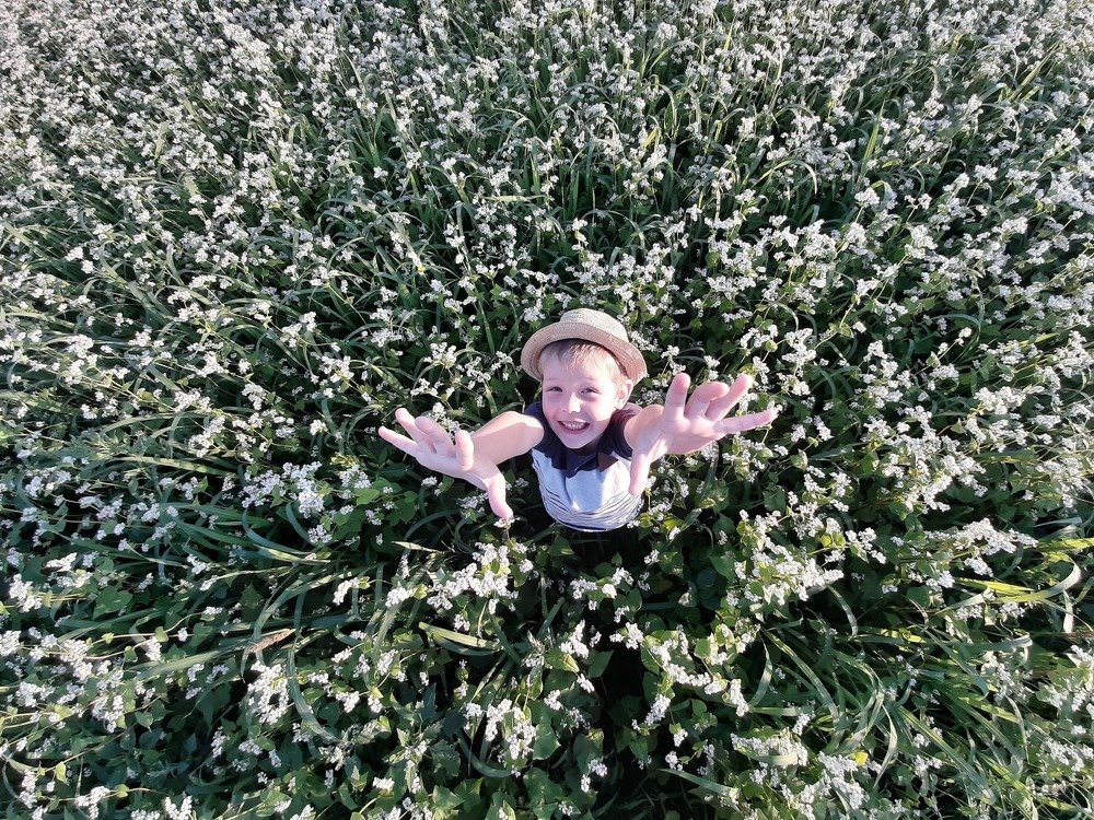 Photograph by Юлия Шестопалова