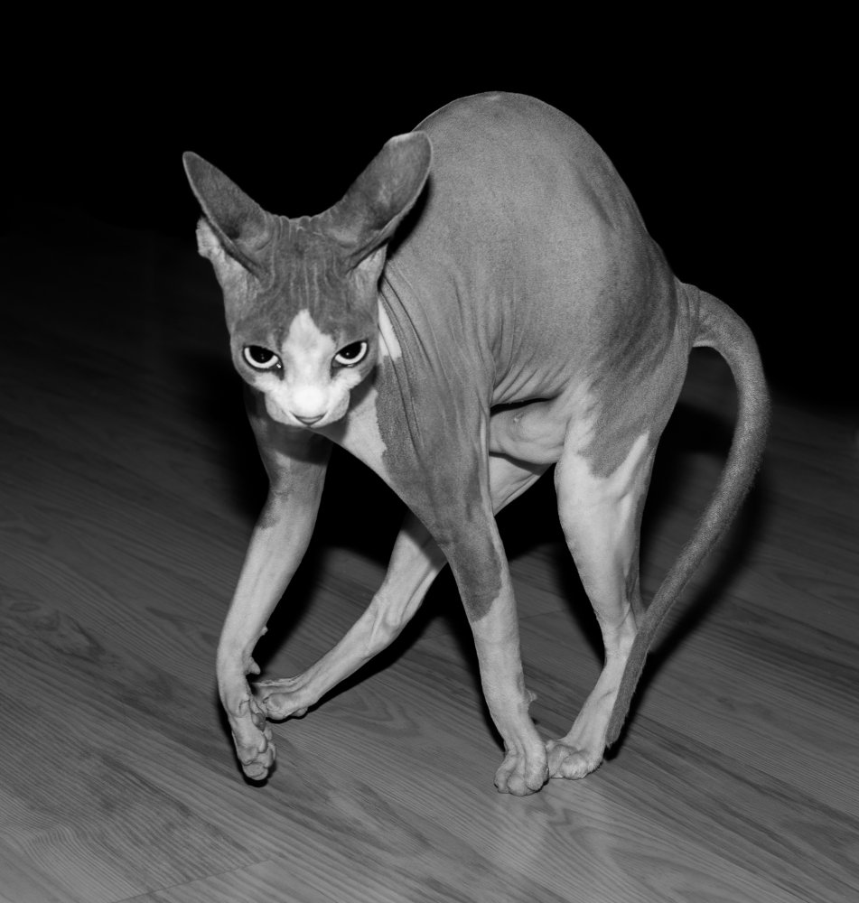 Photograph by Ольга Власенко