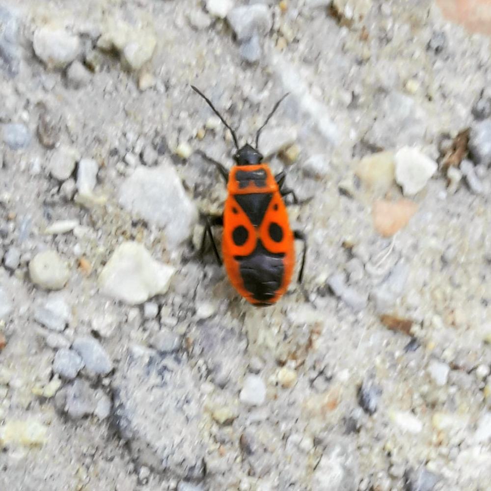 Photograph by Sedef Onum