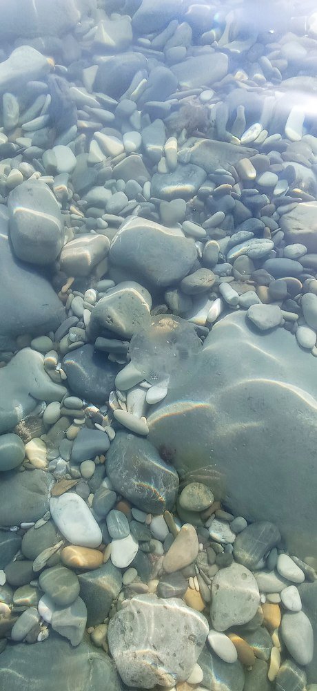 Photograph by Виктория Данилова