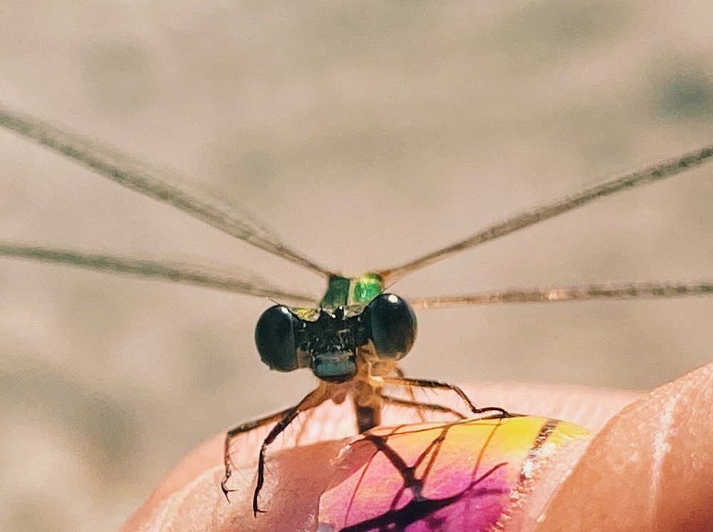 Photograph by Ольга Петухова