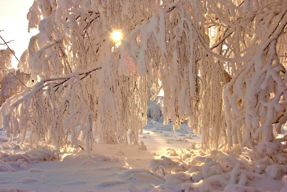 Зимний вечер.