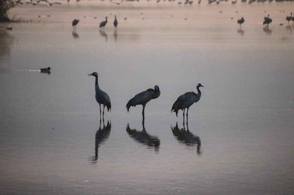 Photograph by Inbar Stern