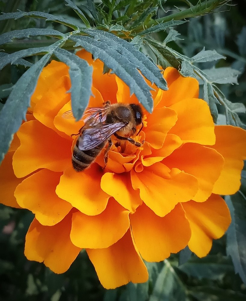 Photograph by Ланская Светлана