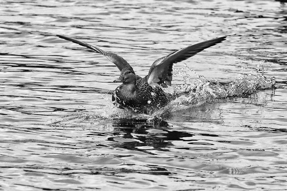 Photograph by Иван Мороз