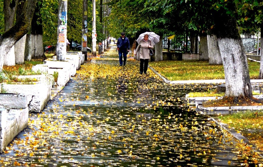 Photograph by леонид натапов