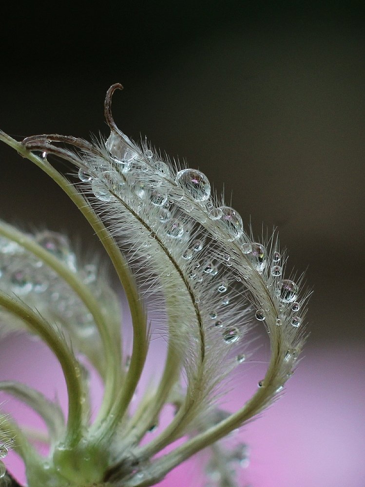 Photograph by Светлана Богомолова