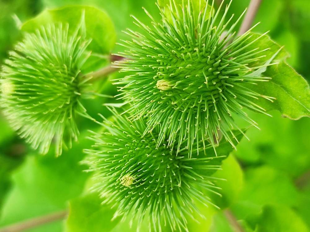 Photograph by Oleksandr Ivanyuk